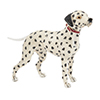 Offord & Sons | Saturno Silver Enamelled Large Dalmation Dog