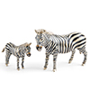 Offord & Sons | Saturno Silver Enamelled Zebra