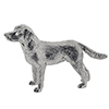 Offord & Sons | Silvants Silver Labrador Dog