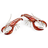 Offord & Sons | Saturno Silver Enamelled Lobsters