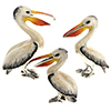 Offord & Sons | Saturno silver enamelled Pelicans