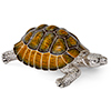 Offord & Sons | Saturno Silver Enamelled Large Turtle