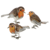 Offord & Sons | Saturno enamelled Robins