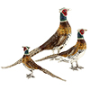 Offord & Sons Saturno silver enamelled pheasants