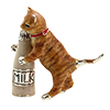 Saturno cat with milk bottle